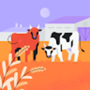 Meet your Posher, Brooklyn